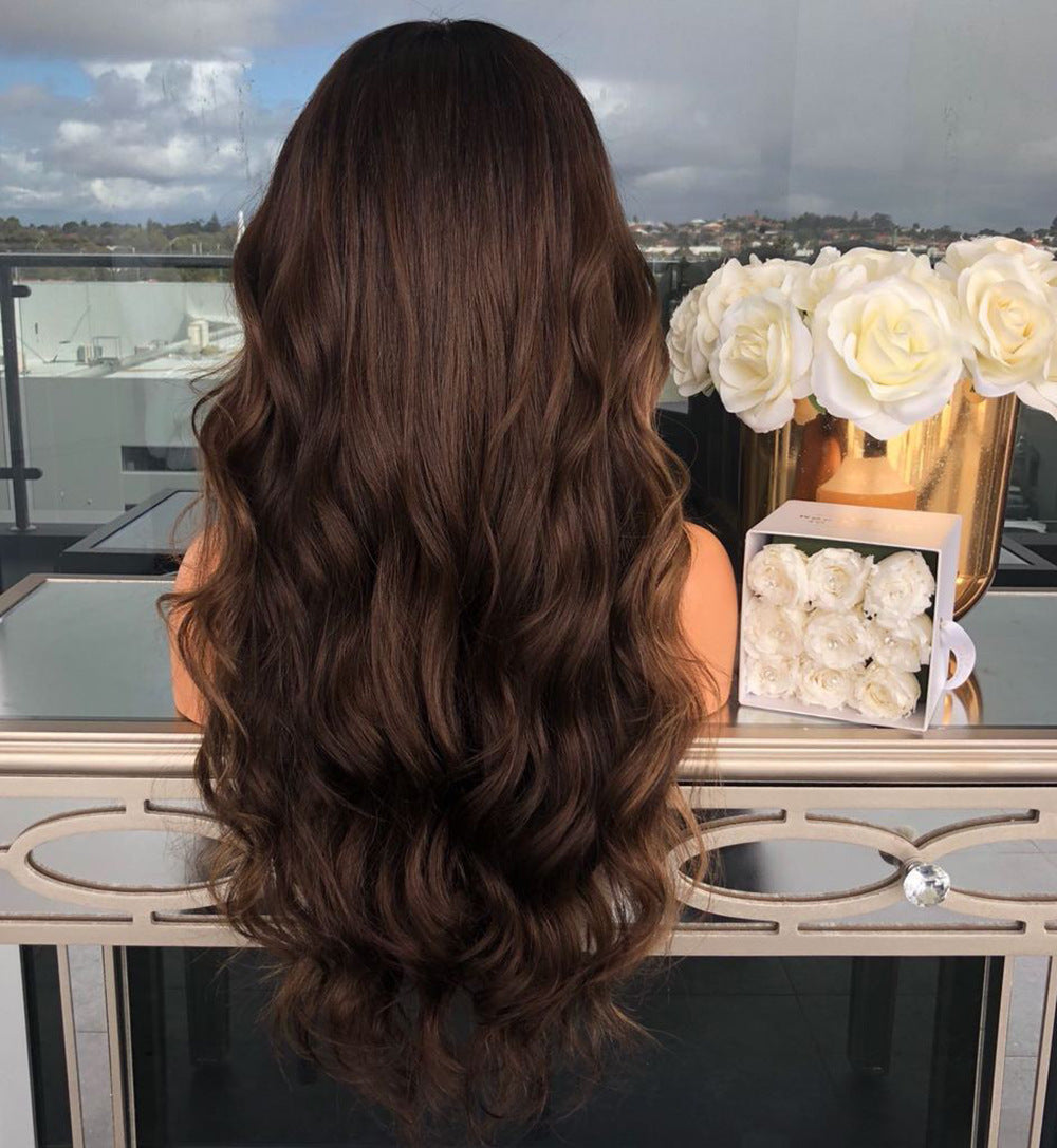 Long Brown Human Hair Wig