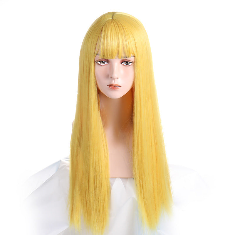 Long Straight Human Hair Wig